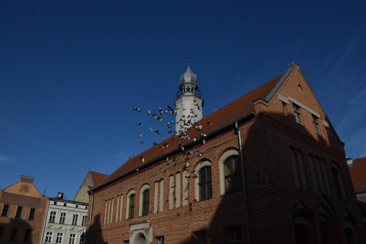 Copernicus Prestige Apartment