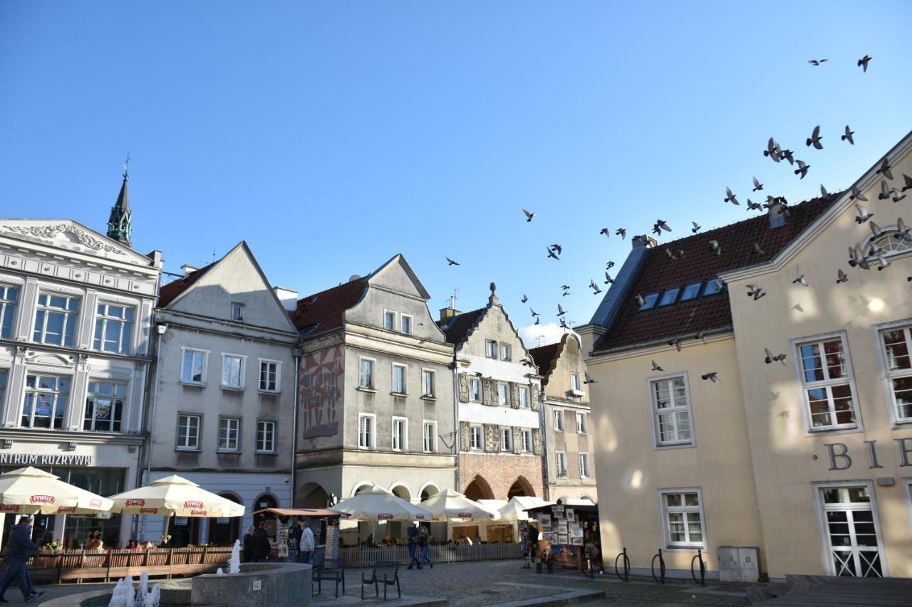 Apartment Copernicus Prestige